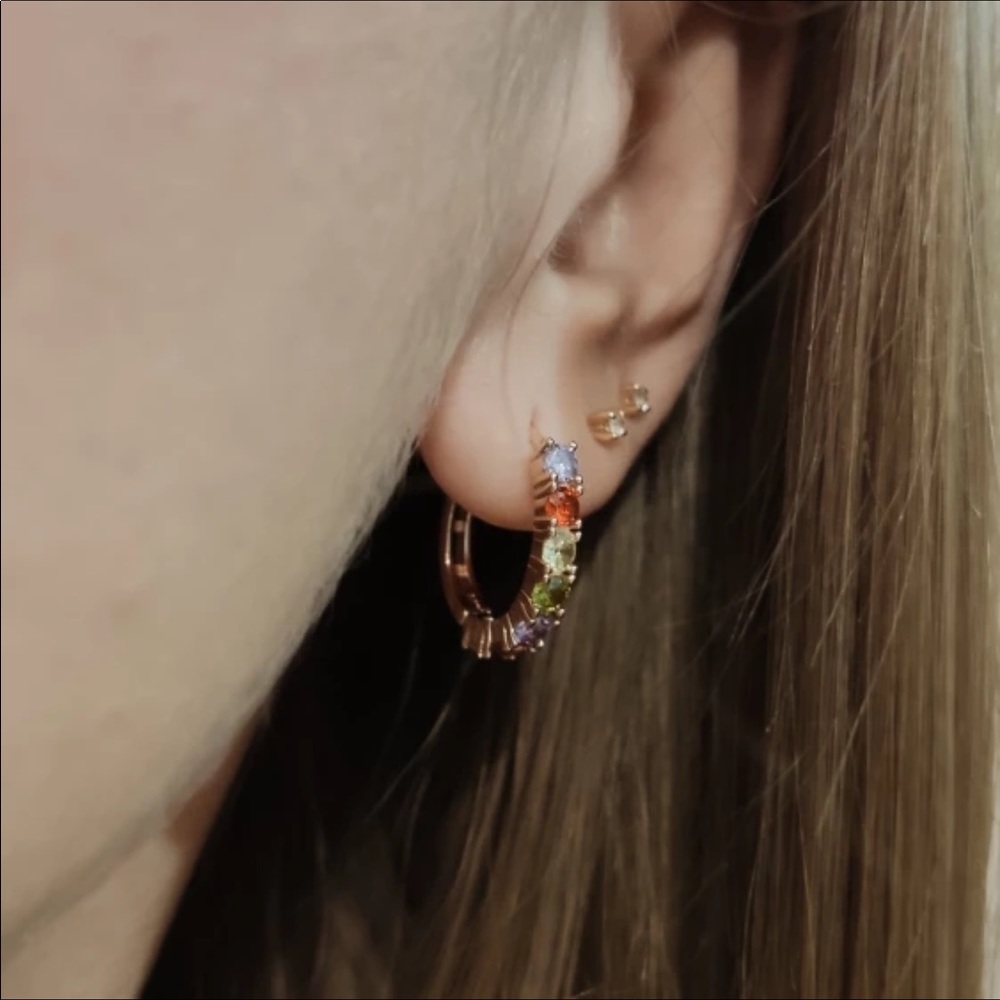Rose Gold Multicolor Earrings - Picture 4 of 4
